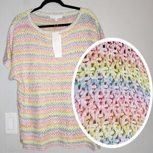 NWT Adyson Parker Rainbow Stripe Knit Short Sleeve Sweater Size 1X